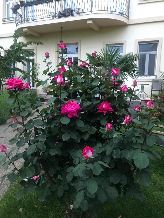 Aurelia Rooms Mostar Buitenkant foto